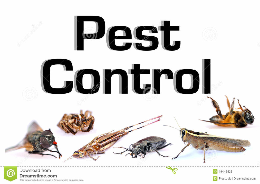 A sign about pest control covered with a variety of bugs